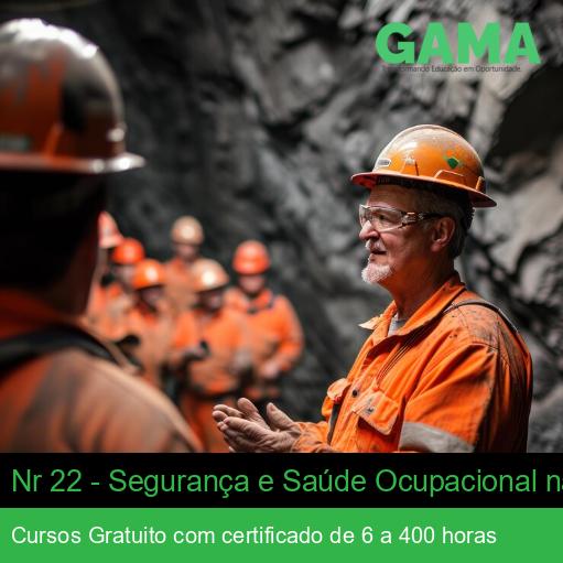 Nr 22 - Segurança e Saúde Ocupacional na Mineração